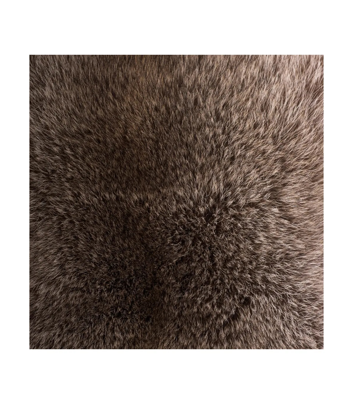 Full Pelt Raccoon Fur Pillow: FurSource.com