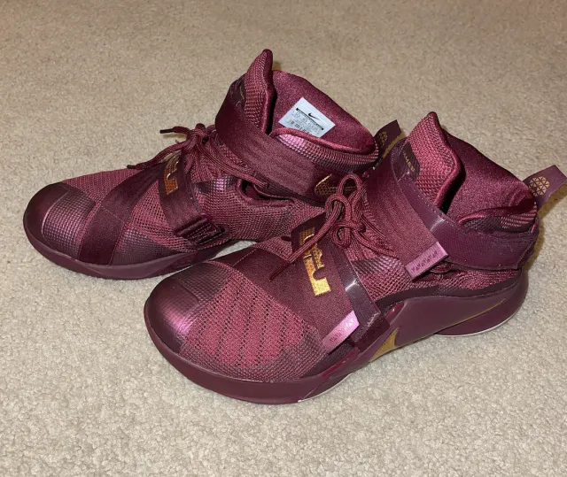 Nike burgundy lebron james