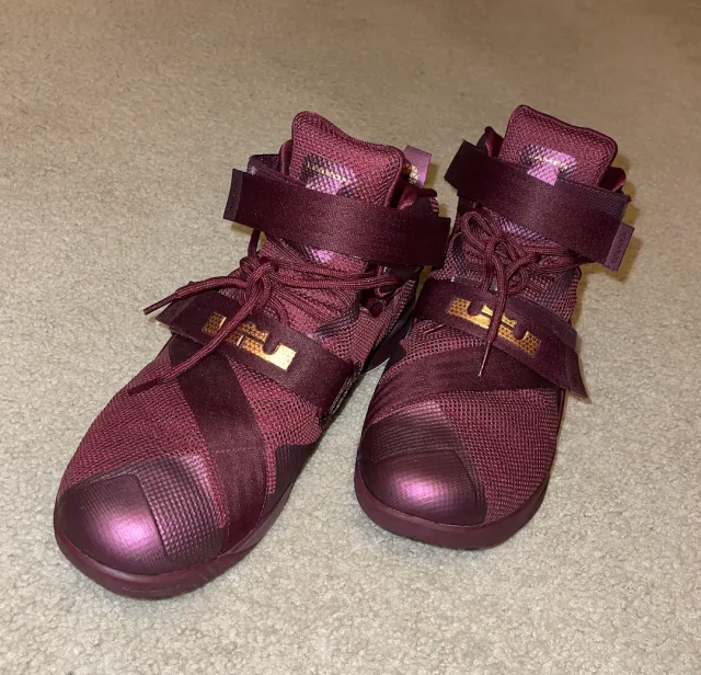 Nike burgundy lebron james