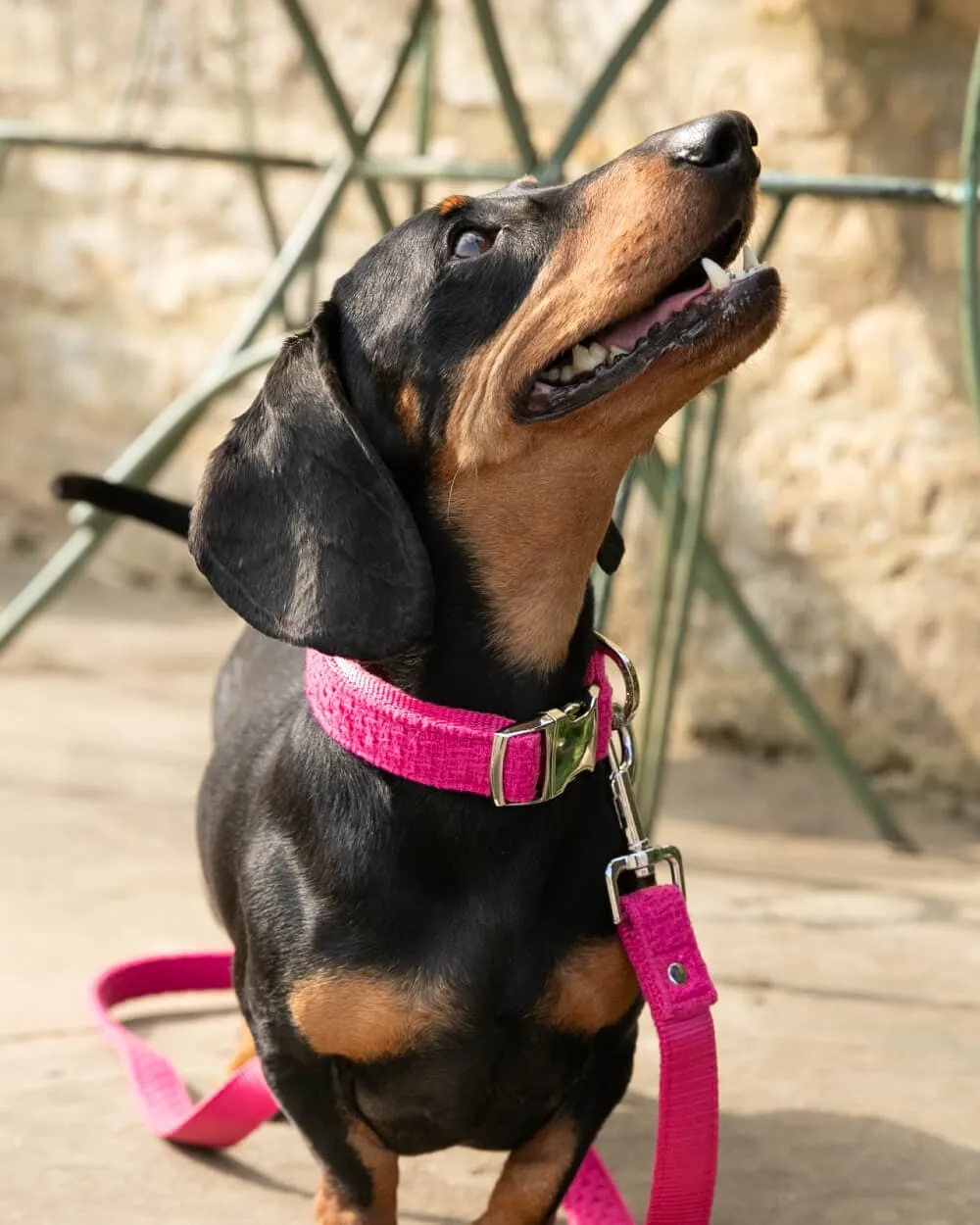 Pink Luxury Tweed Dog Collar