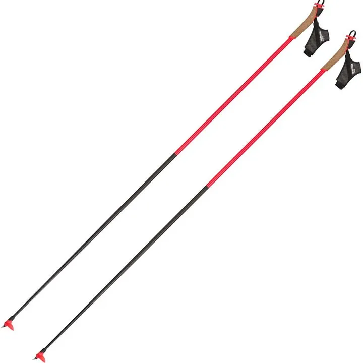 Rossignol Force 9 Nordic Pole 20/21