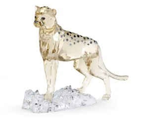 Swarovski - Elegance of Africa SCS Cheetah Baby Jabari